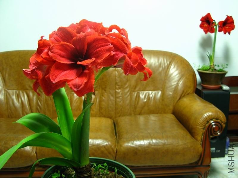 �����ݲ�8 103.JPG