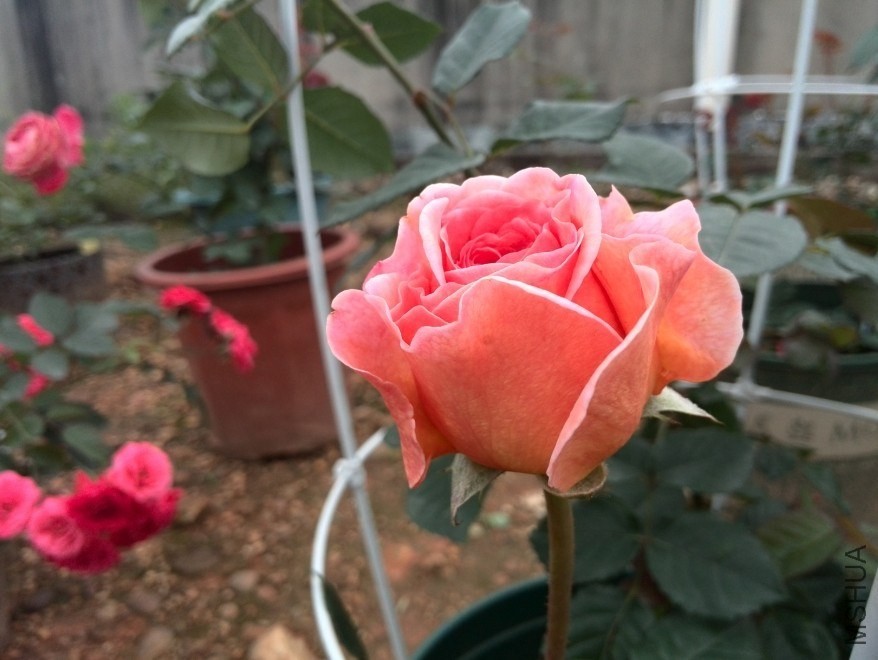 QQͼƬ20140512174437.jpg
