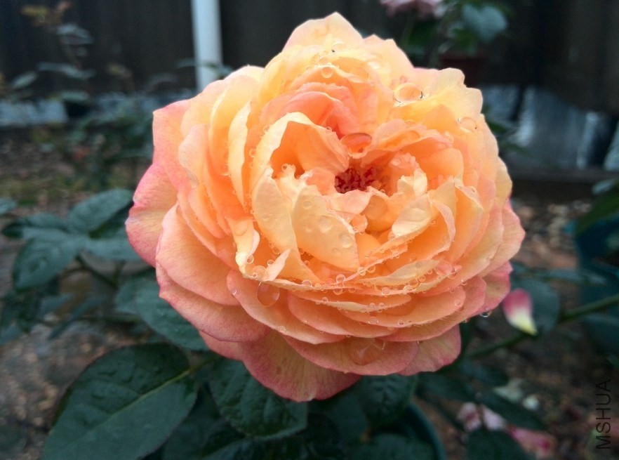 QQͼƬ20140512173916.jpg