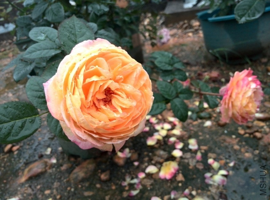 QQͼƬ20140512173930.jpg