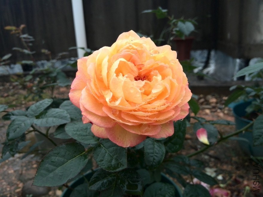 QQͼƬ20140512174027.jpg