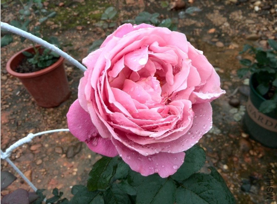 QQͼƬ20140512173821.jpg