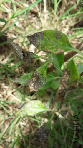 20140512_140025.jpg