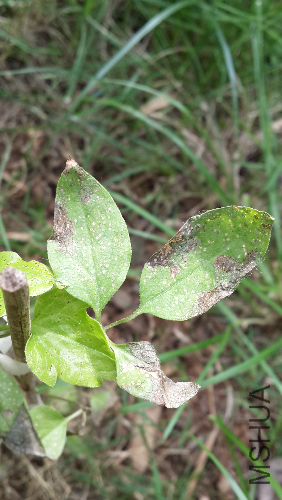 20140512_135925.jpg