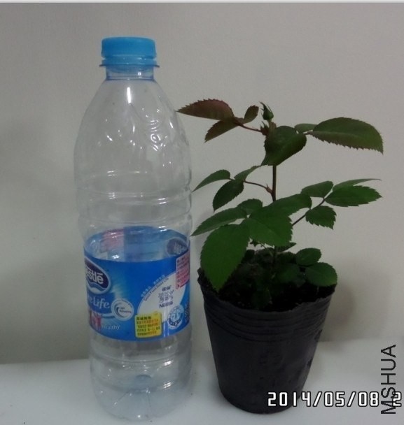 ��������ա�û���ĵ��ղ����ˣ�̫�࣬��һ���ӵ����֡�