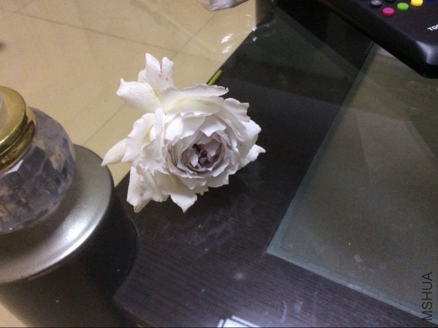 QQͼƬ20140512212241.jpg