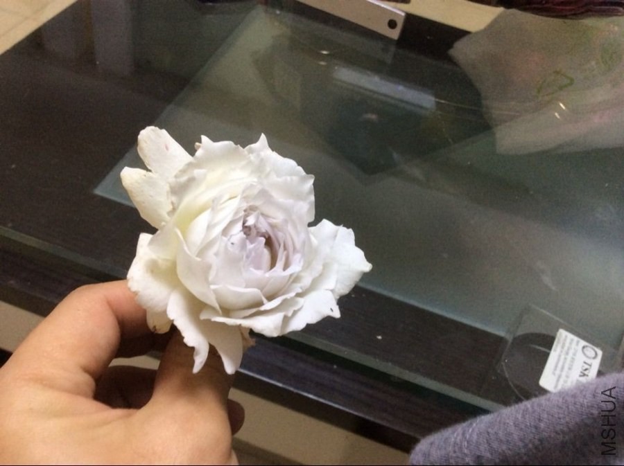 QQͼƬ20140512212245.jpg