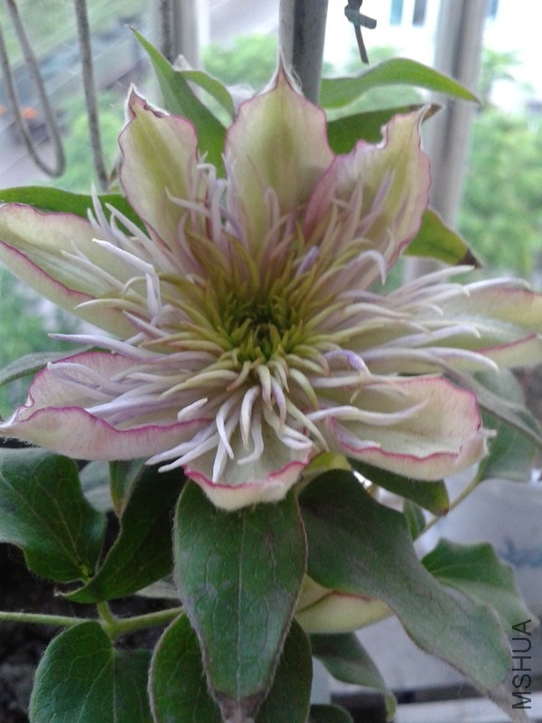 2014-05-08 18.46.31_����.jpg