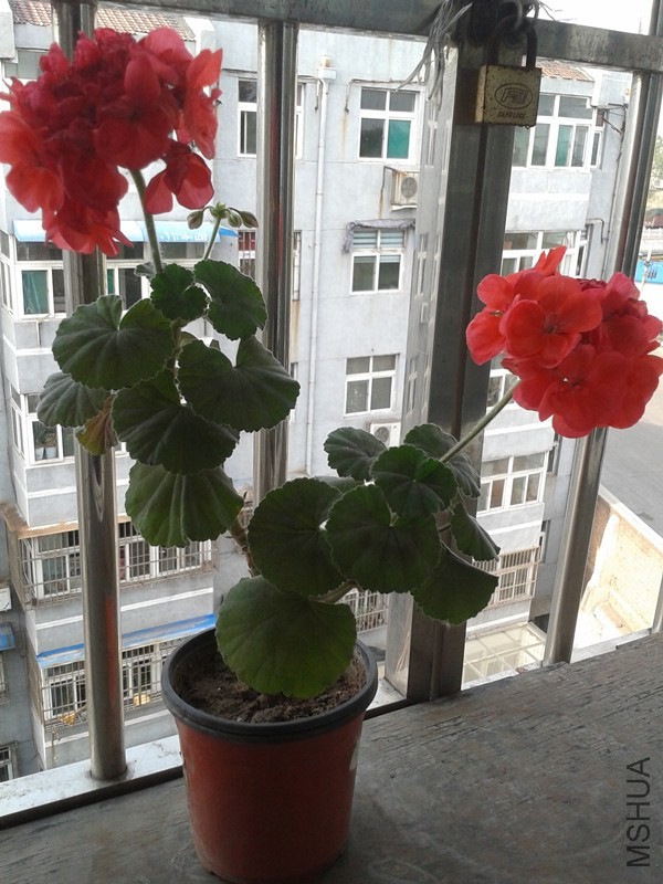 2014-05-04 16.25.40_����.jpg