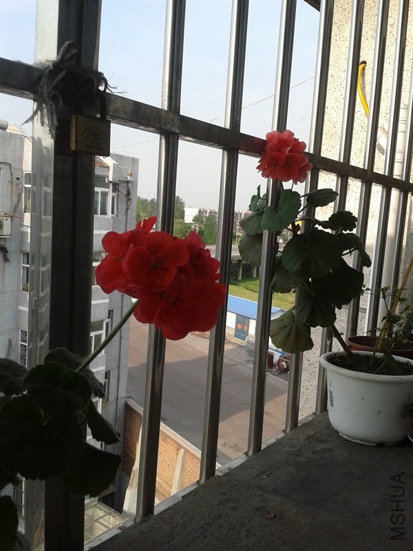 2014-05-04 16.25.57_����.jpg