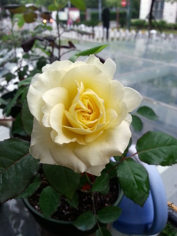 20140511_160445.jpg
