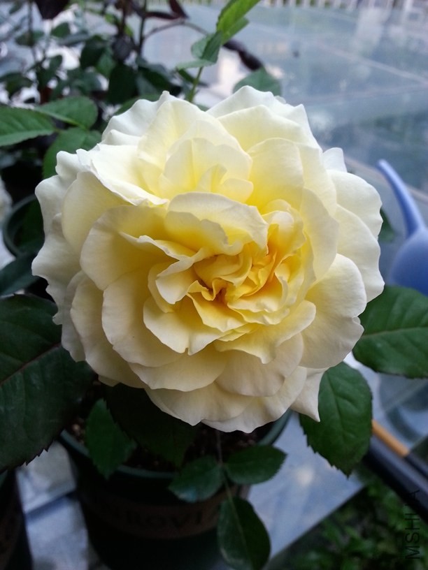 20140512_182016.jpg