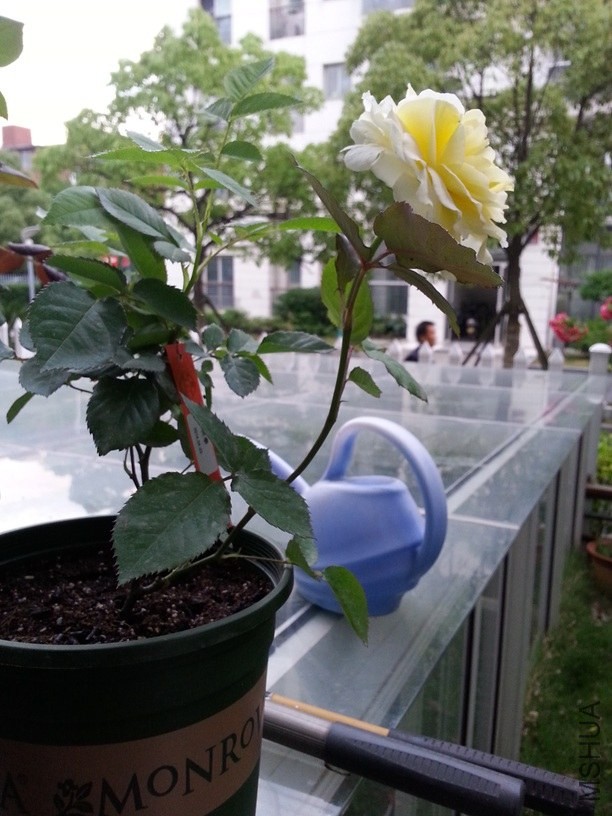20140512_182031.jpg