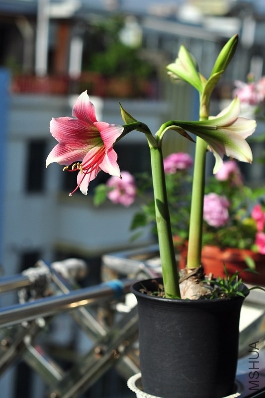 DSC_2088.jpg