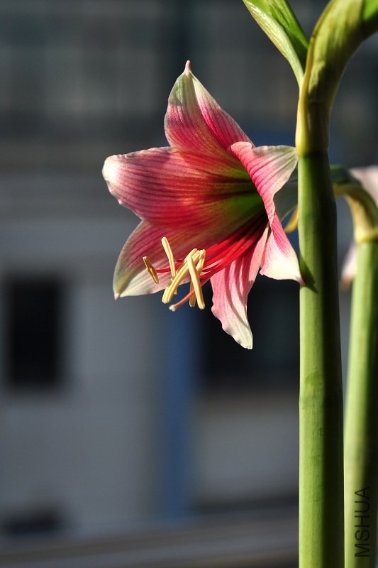 DSC_2083.jpg