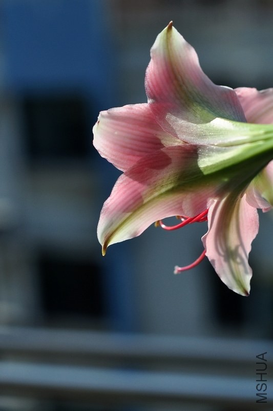 DSC_2090.jpg