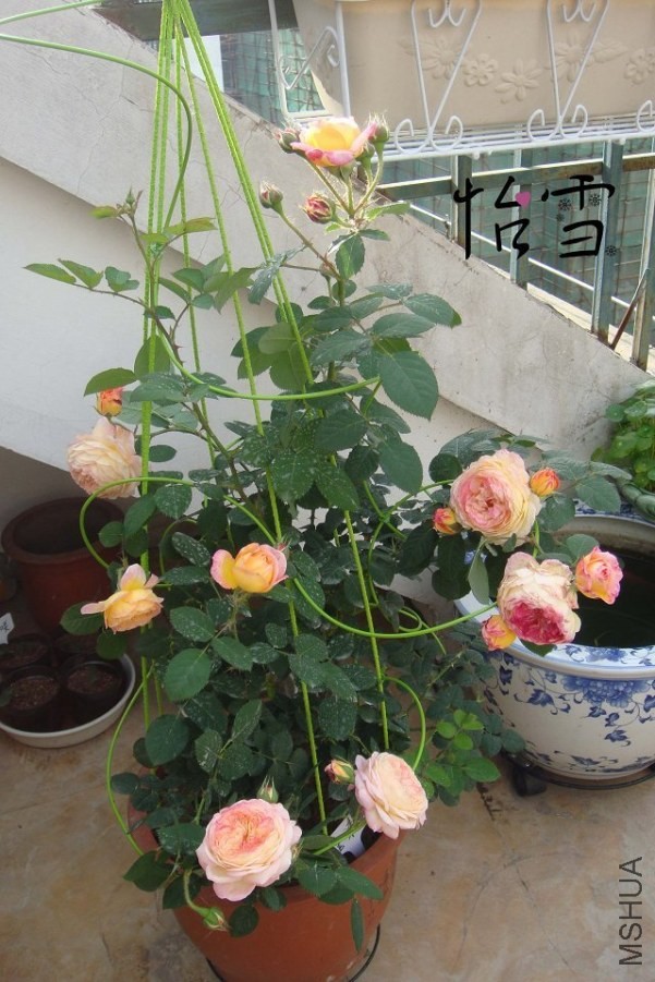 ������������ա��Լ����ļ���Ŷ����ô����