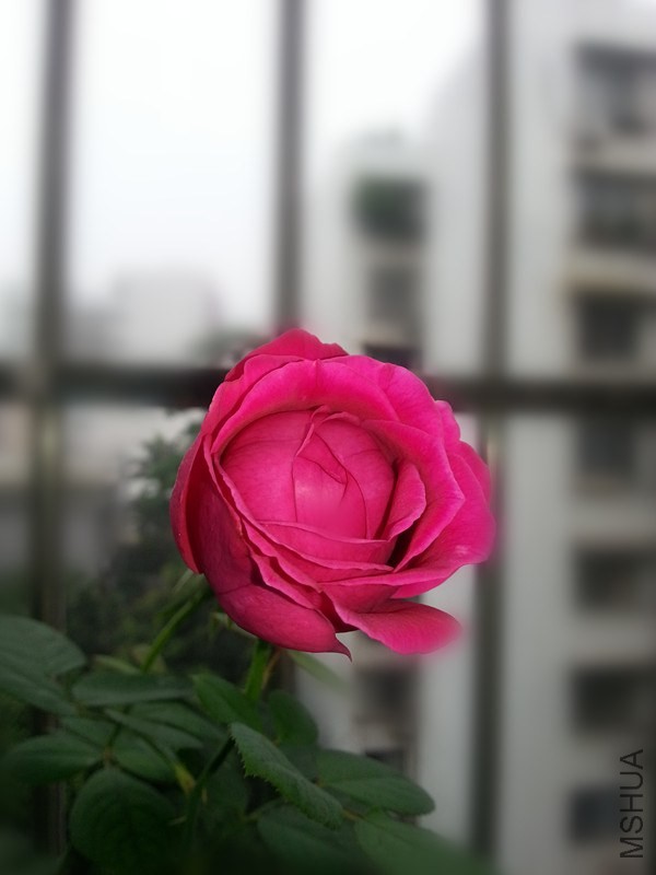 20140513_090532_����.jpg