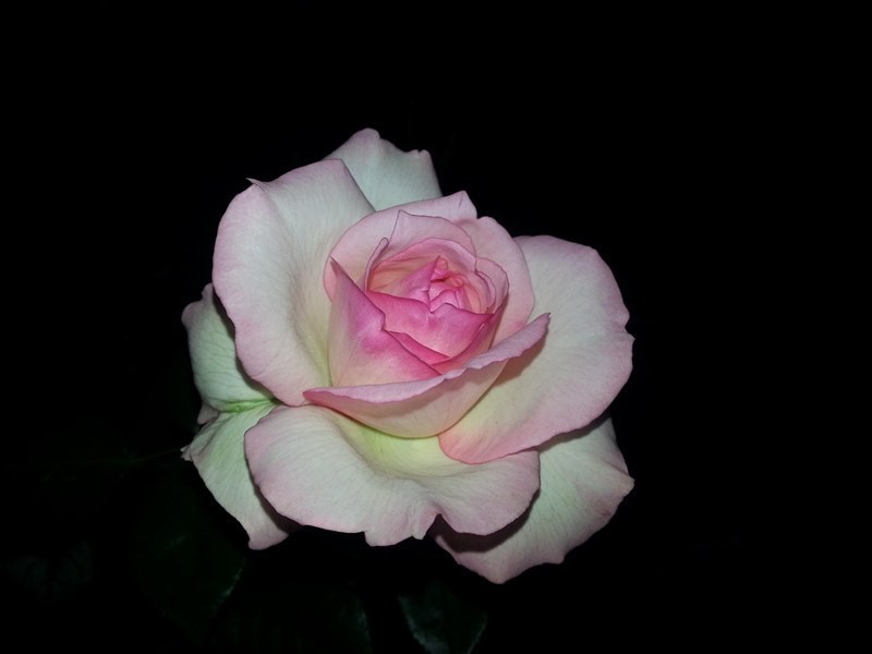 20140425_204640_����.jpg