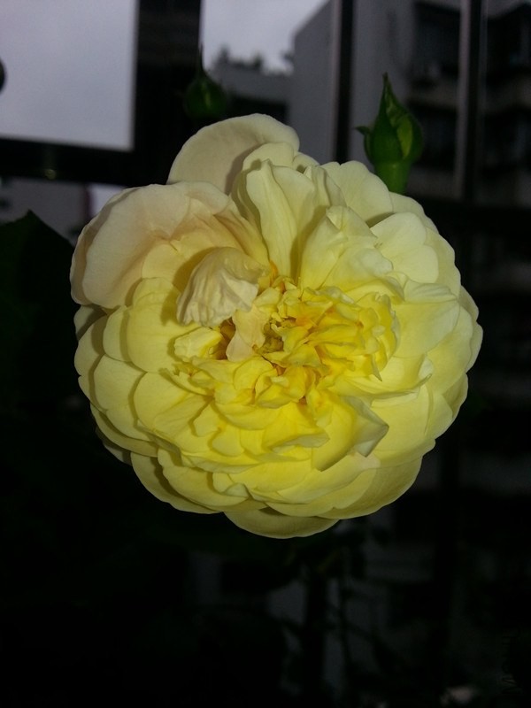 20140502_093918_����.jpg