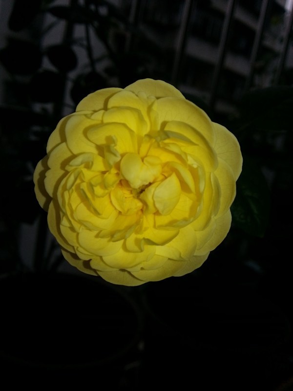 20140502_093701_����.jpg