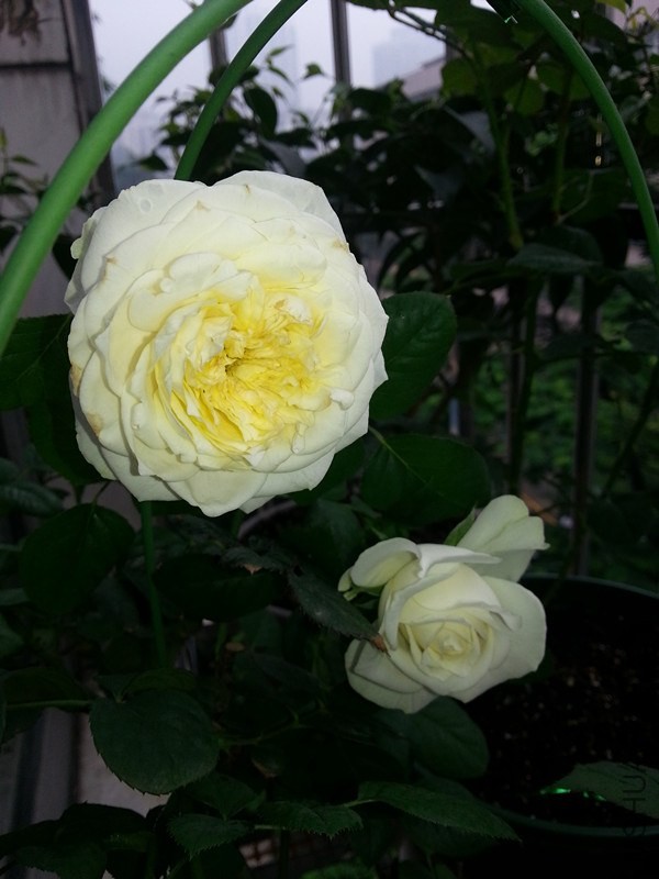 20140513_090825_����.jpg