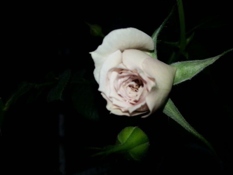 20140511_162154_1_����.jpg