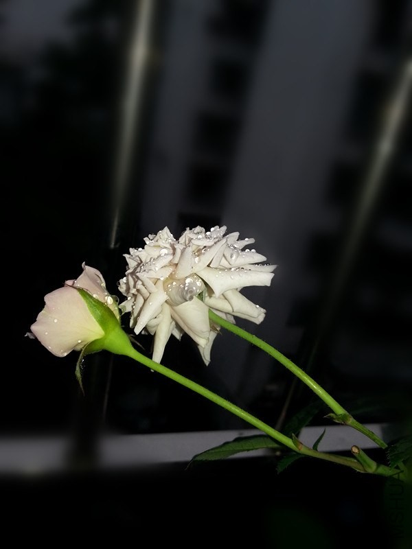 20140511_162223_����.jpg