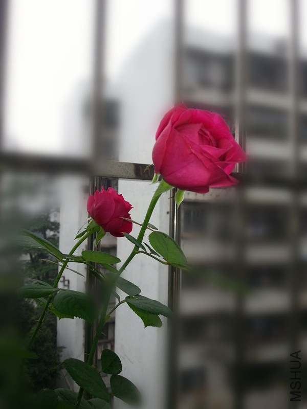 20140513_091017_����.jpg