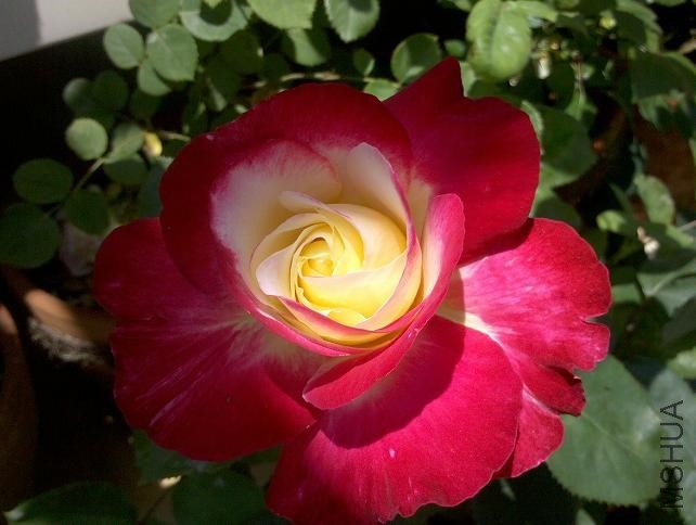 2013��˫ϲ2.JPG
