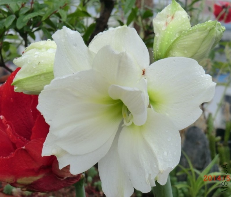 QQͼƬ20140510125123.jpg