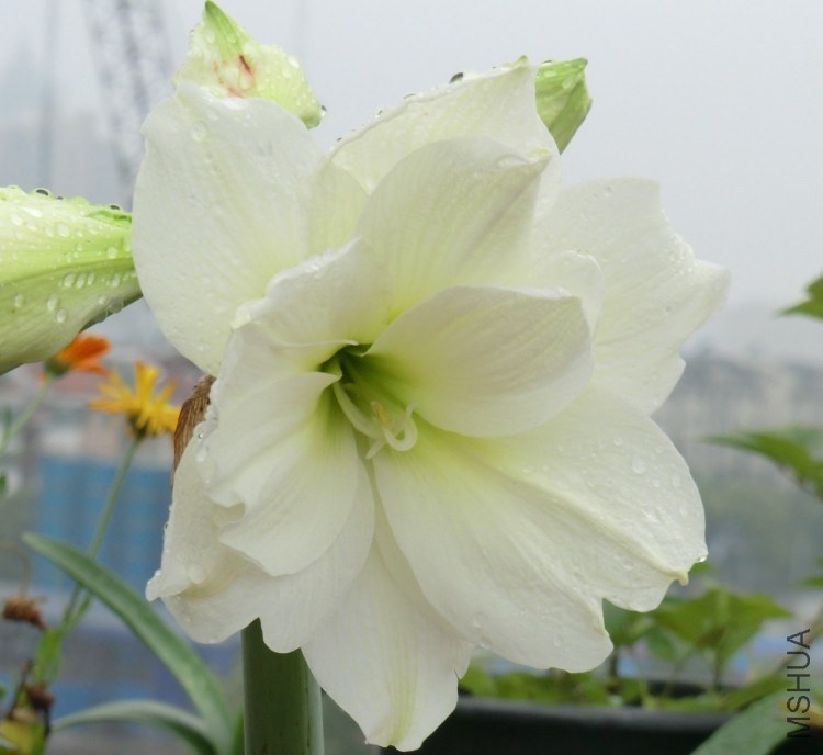 QQͼƬ20140510125218.jpg