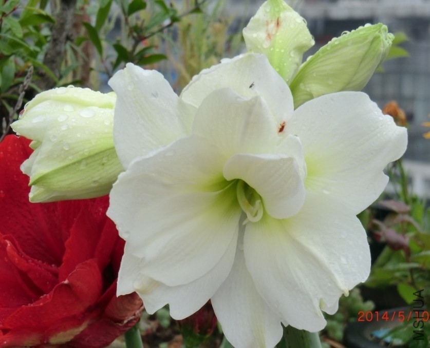 QQͼƬ20140510133449.jpg