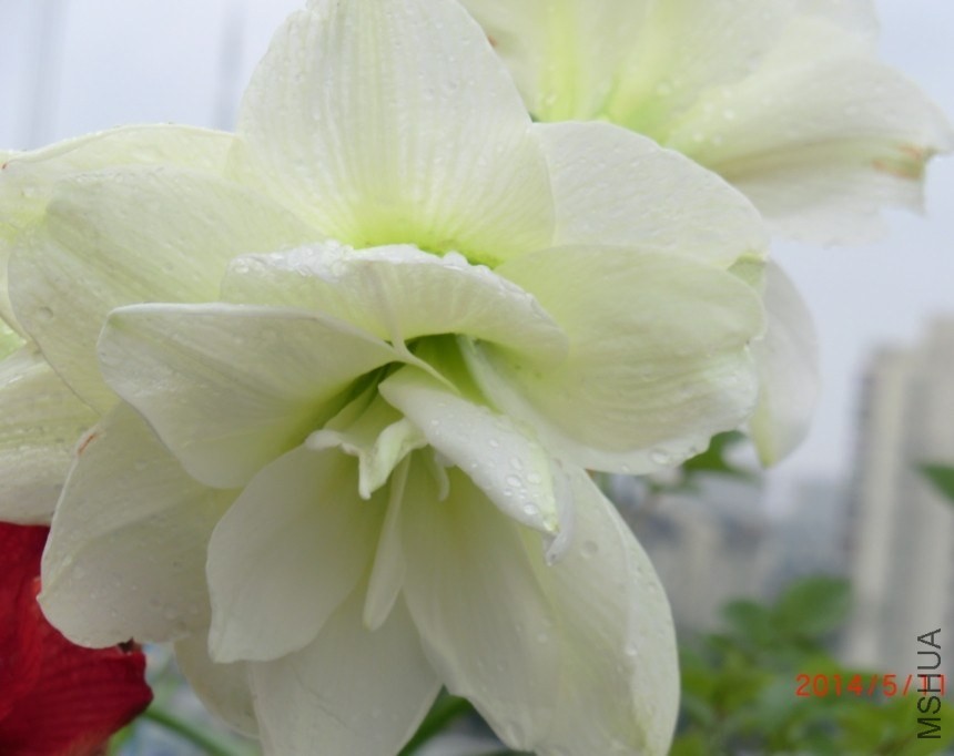 QQͼƬ20140511112243.jpg