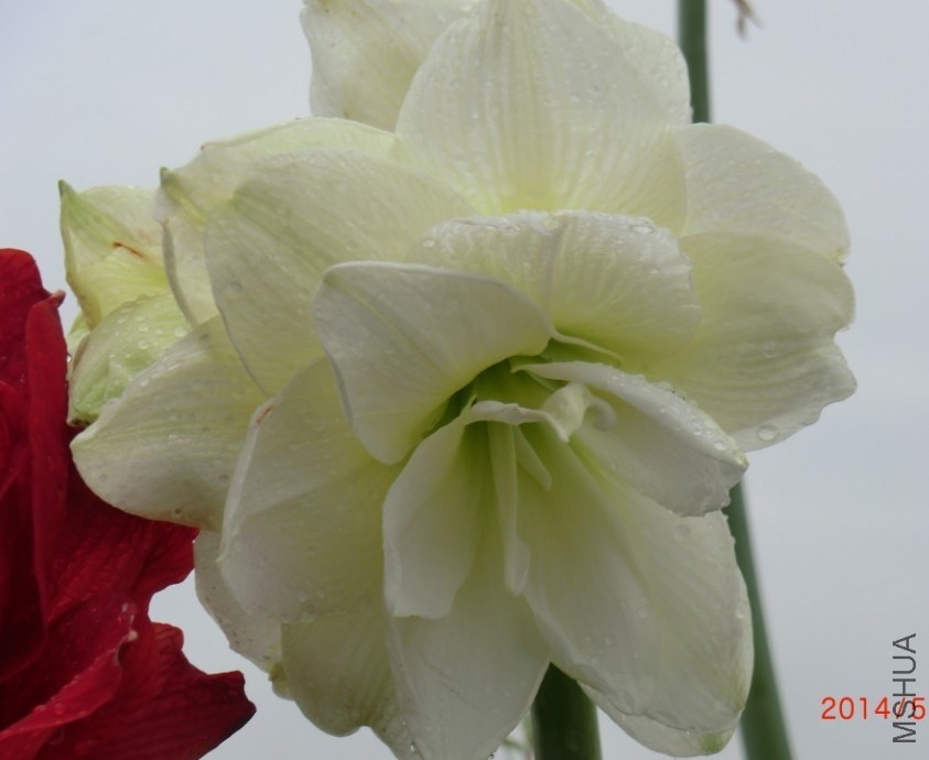 QQͼƬ20140511112303.jpg