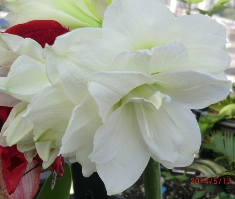 QQͼƬ20140513191844.jpg