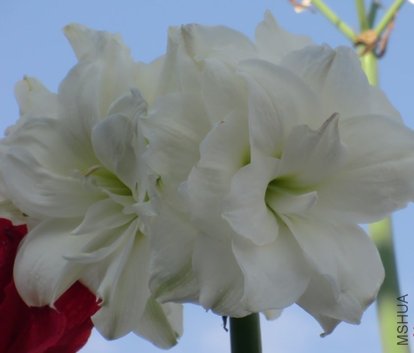 QQͼƬ20140513192854.jpg