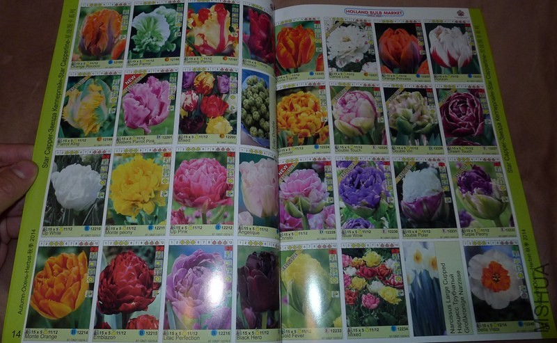 P1060316_����.jpg