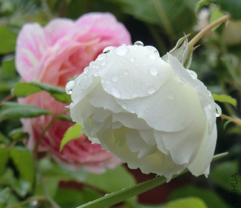 QQͼƬ20140510133313.jpg