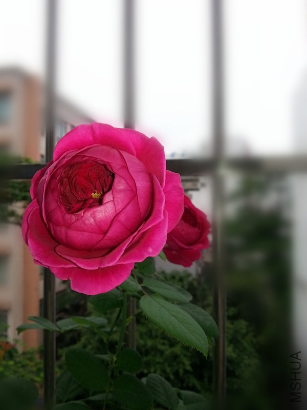 20140514_072910_����.jpg