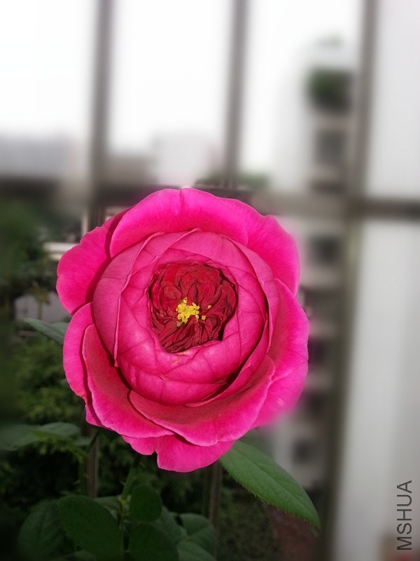 20140514_072857_����.jpg