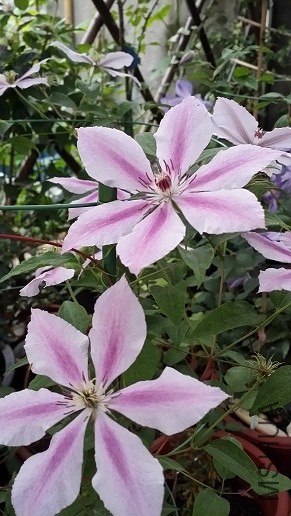 20140514_065023.jpg