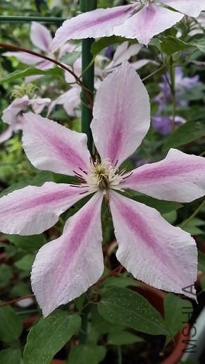 20140514_065202.jpg