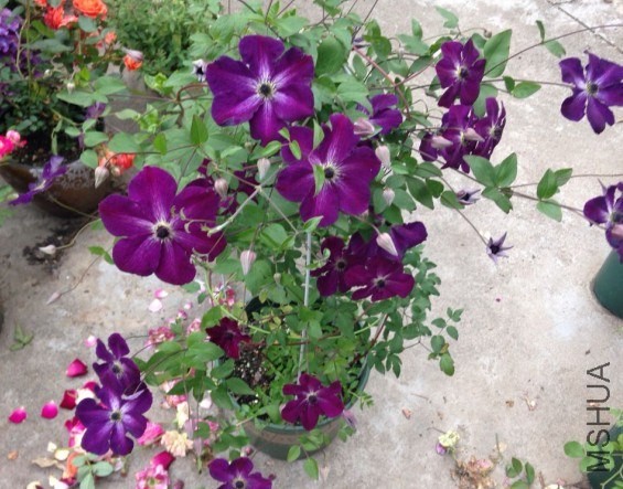 QQͼƬ20140514102603.jpg