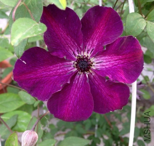 QQͼƬ20140514102634.jpg