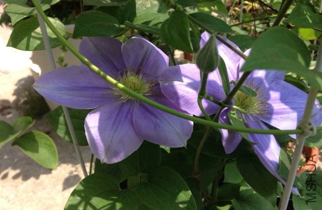 QQͼƬ20140514103350.jpg