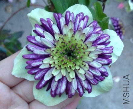 QQͼƬ20140514104029.jpg