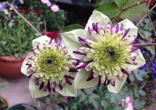 QQͼƬ20140514103957.jpg