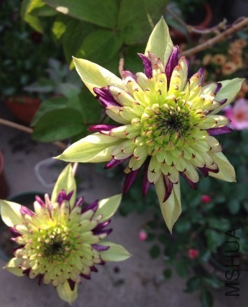 QQͼƬ20140514104103.jpg