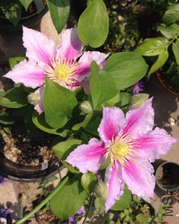 QQͼƬ20140514105431.jpg